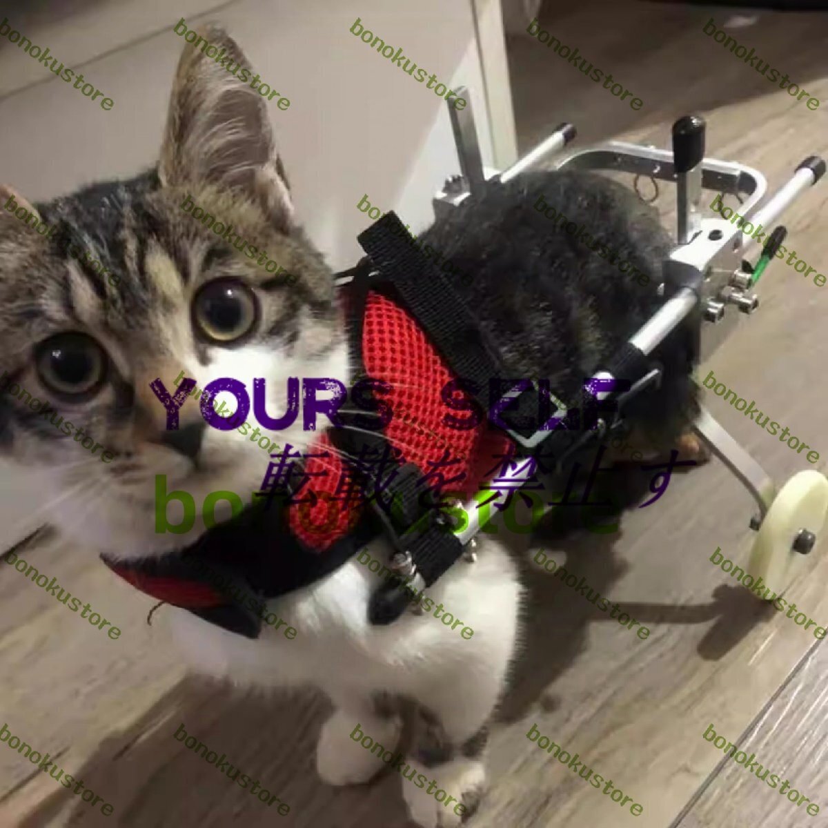 麻痺後足用猫車椅子、アルミペット車椅子歩行器、リハビリ補助輪カート、大型/中型/小型猫用 (サイズ さいず : M)拍卖