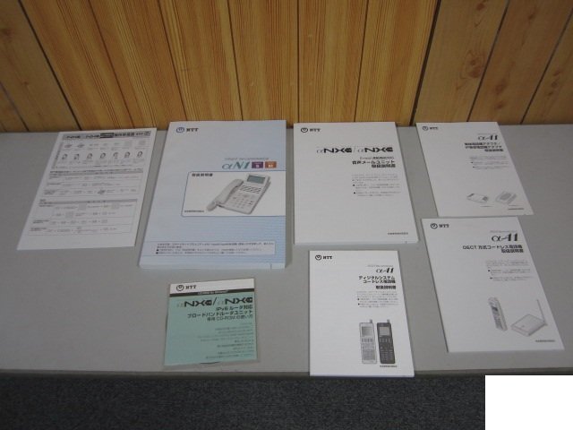 取扱説明書 αN1 typeS M / αNX type SM 音声メールユニット / αA1 デジタルコードレス / αA1 DECT 方式コードレス 保証有 ZA2 10035)拍卖