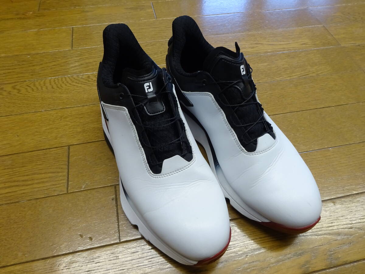 FJ フットジョイPRO/SLXボア 101拍卖