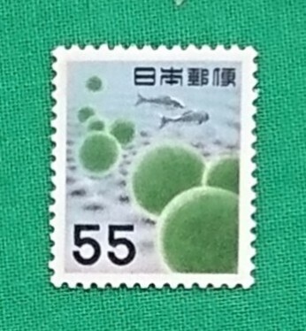 まりも(旧)/第1次円単位/美品/NH/シミ無/薄シワ/糊艶良好/1956年/カタログ価格3,000円/№422拍卖