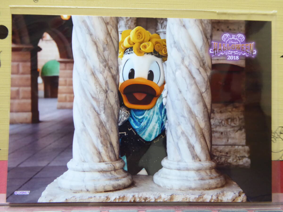 TDS ディズニーシー ハロウィン2018 ドナルド・フォト 非売品 TDR/TDL拍卖