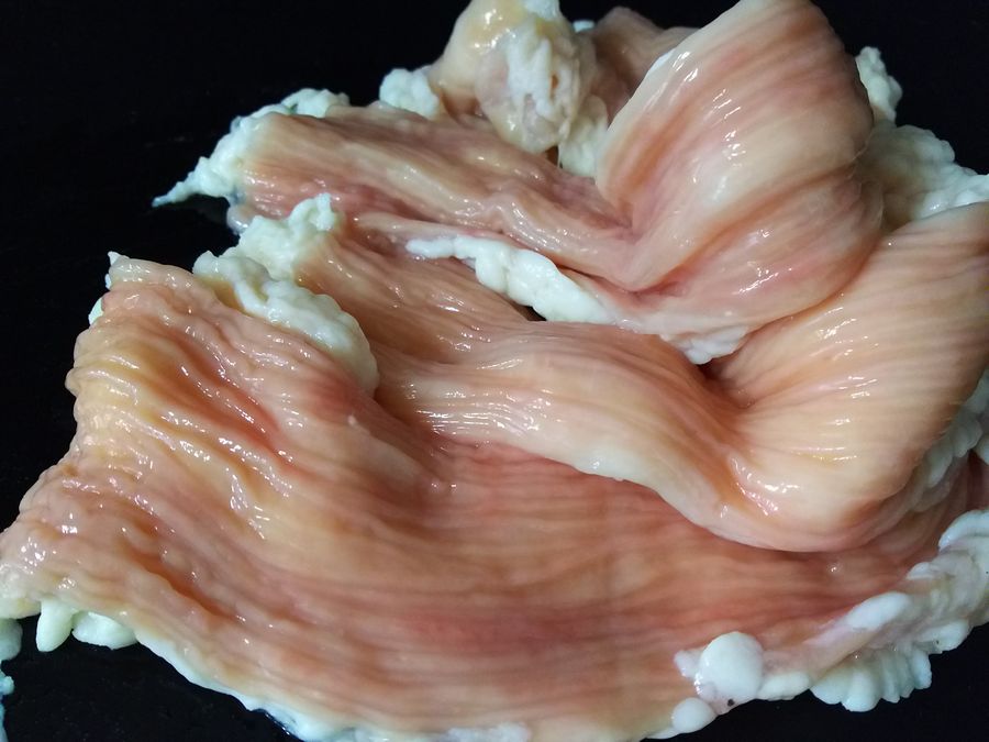 脂付き牛上大腸「シマ腸」 アメリカ産 約4.98kg 約1kg前後×シート小分け 焼肉 業務用拍卖