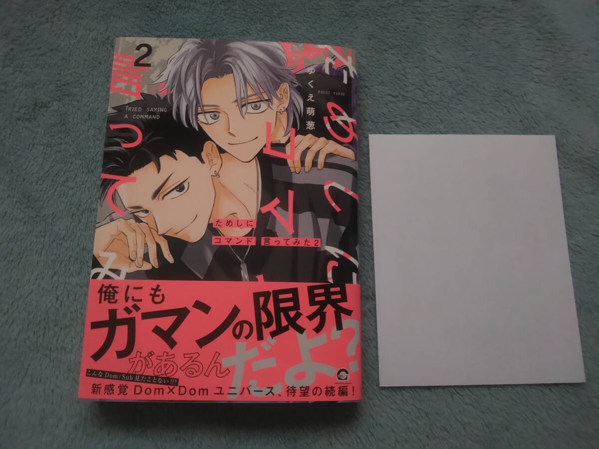 BL●ゆくえ萌葱「ためしにコマンド言ってみた2」・特典つき拍卖
