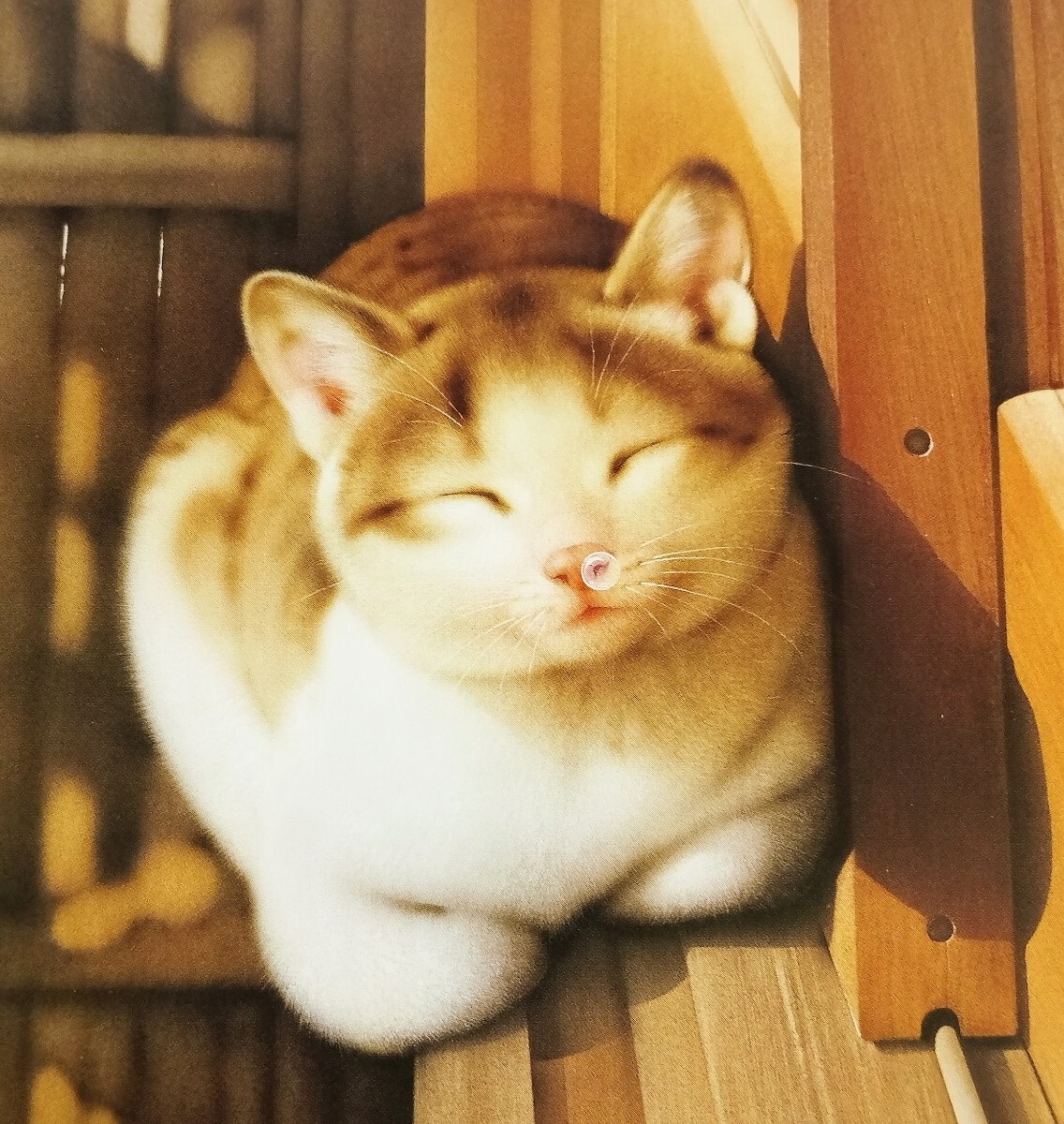 即決 新品 村松誠 ノベルティ 絵葉書 可愛い 野良猫 ネコ 非売品 ポストカード 愛猫家 検: ビッグコミックオリジナル お昼寝 鼻風船拍卖