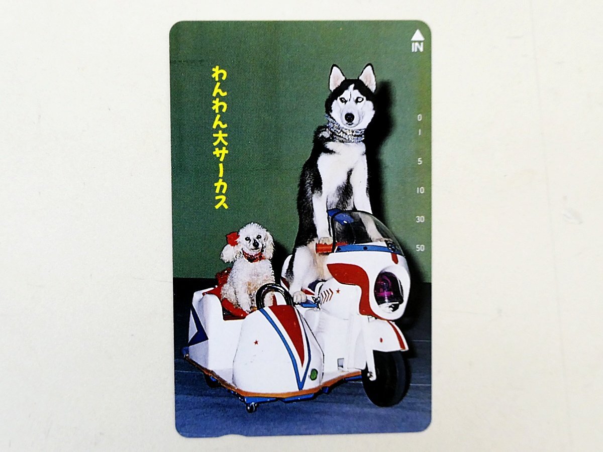 【542】 テレカ わんわん 大サーカス 犬 Dog テレホンカード 50度 拍卖