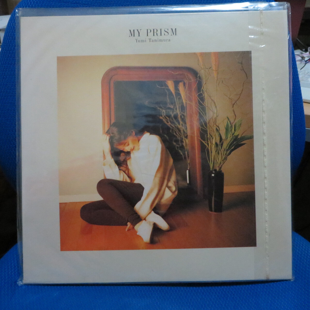 レーザーディスク(LD)谷村有美 6枚セット ゆうパック80サイズにて発送します。拍卖