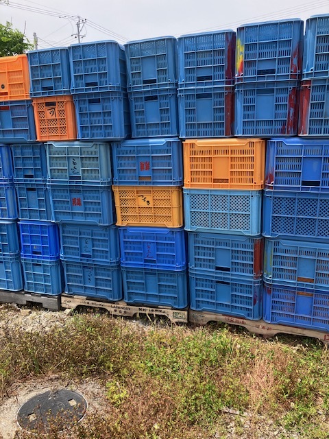 4ミカンコンテナ みかんコンテナ・収穫かご拍卖