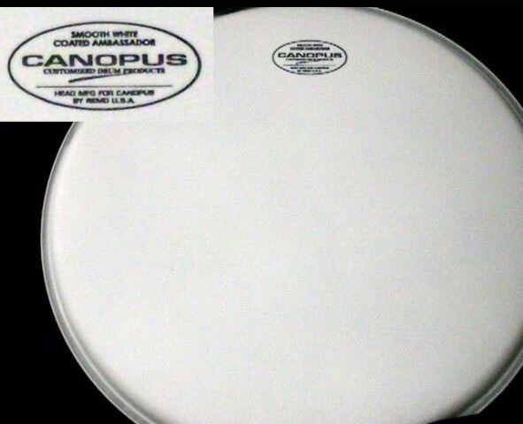 CANOPUS カノウプス ドラムヘッド COATED REGULAR 12拍卖