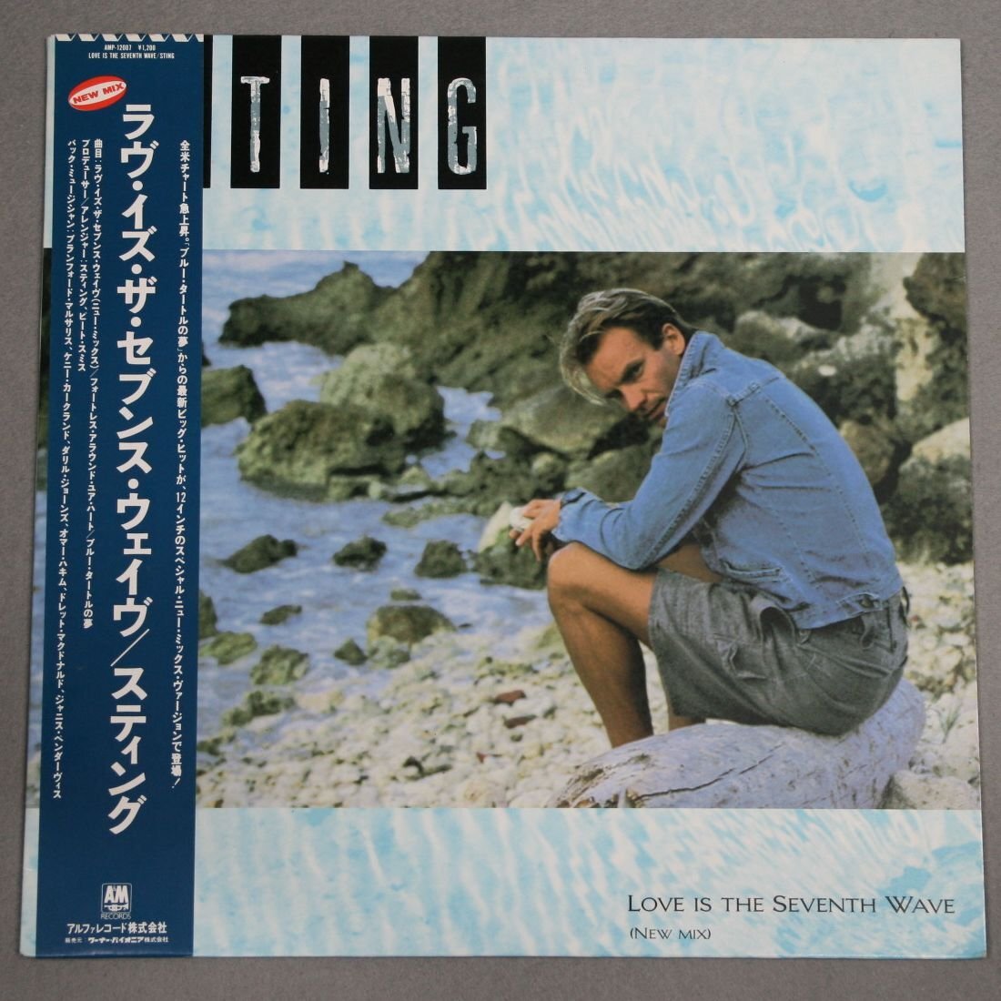 中古LP「Love Is The Seventh Wave / ラヴ・イズ・ザ・セブンス・ウェイヴ」 Sting スティング 12インチ シングル拍卖