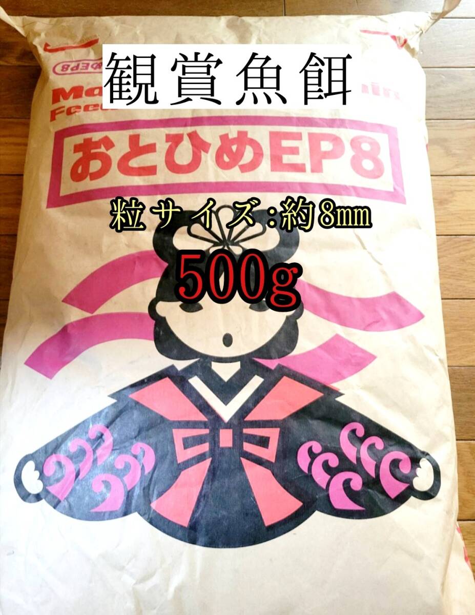 観賞魚の餌 約8mm おとひめEP8 500g 日清丸紅飼料 熱帯魚 錦鯉 エイ 大型魚拍卖