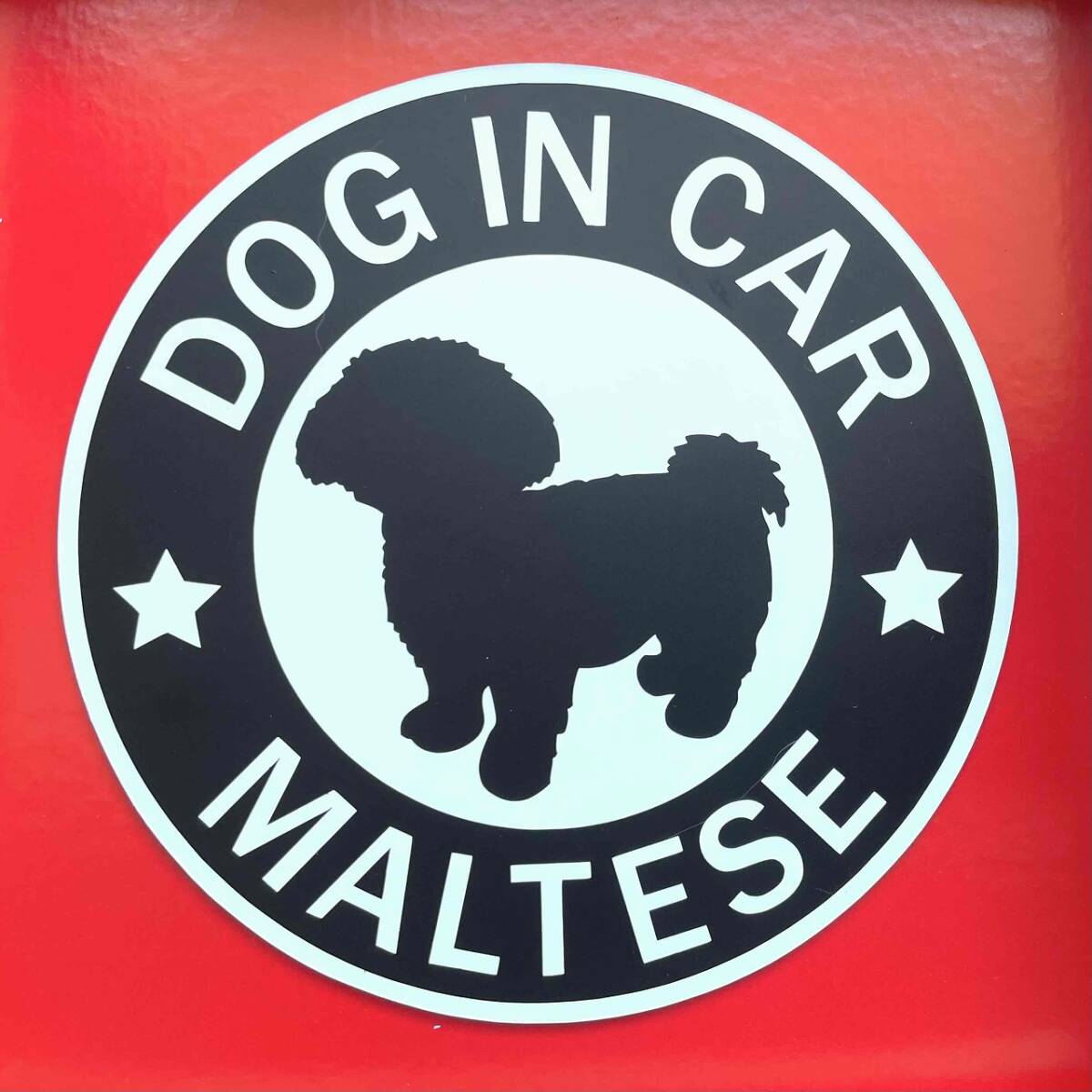 犬(マルチーズ BK )マグネット ステッカー 防水 車用【匿名配送】拍卖
