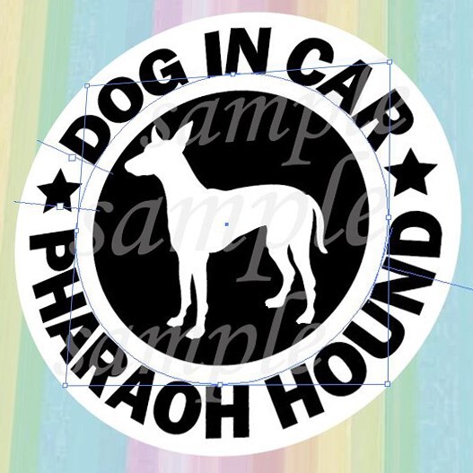 犬(ファラオハウンド)マグネット ステッカー 防水 車用【匿名配送】拍卖