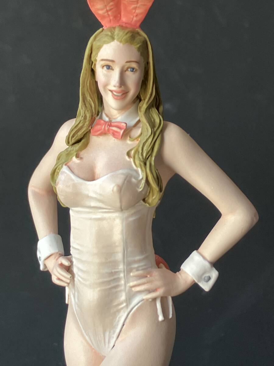 ◆◇「ハセガワ 1/12 完成品 リアルフィギュア コレクション ★ No.29 “ブロンドガール Vol.7” SP555」 sk◇◆拍卖