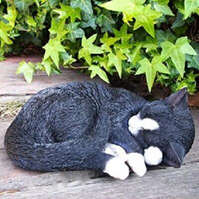 猫の置物 八割れ猫 居眠り猫A N15507 キャット ガーデンオブジェ CAT 動物 オーナメント ネコ 雑貨 ガーデン オブジェ拍卖