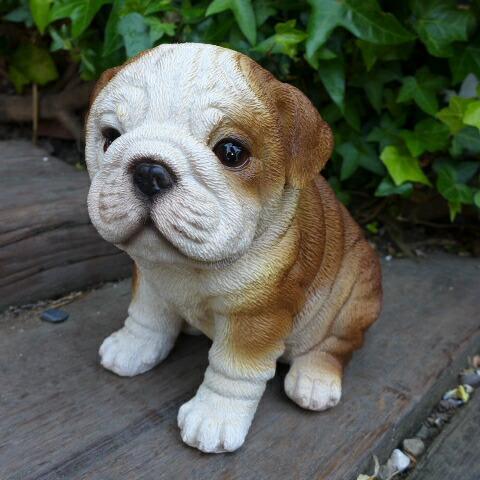 犬の置物 ブルドッグ いぬ T14066 オーナメント ガーデン オブジェ 庭 雑貨 ガーデニング インテリア 雑貨 マスコット拍卖