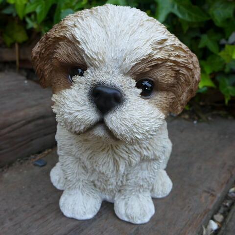 犬の置物 シーズー いぬ イヌ 動物 T14064 オーナメント ガーデン オブジェ 庭 雑貨 ガーデニング インテリア 雑貨拍卖