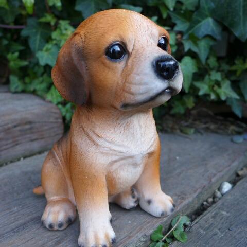 犬の置物 ビーグル いぬ イヌ 動物 9685H オーナメント ガーデン オブジェ 雑貨 ガーデニング インテリア 雑貨 マスコット拍卖
