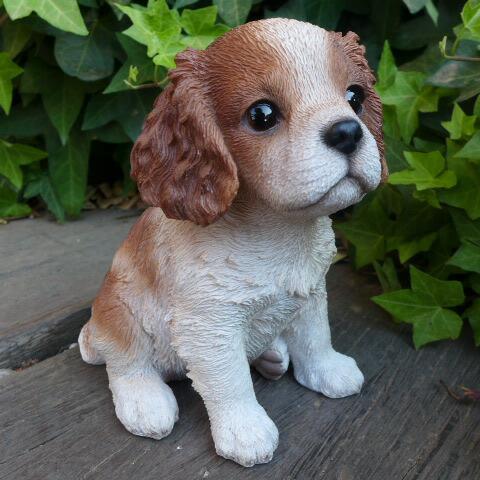 犬の置物 チャールズスパニエル いぬ イヌ 動物 T14073 オーナメント ガーデン オブジェ 雑貨 ガーデニング インテリア拍卖