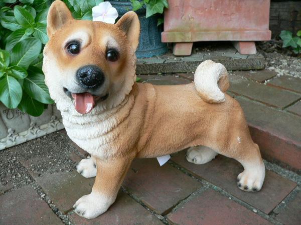 犬の置物 柴犬 おまけ付 9396H いぬ イヌ 動物 オーナメント ガーデン オブジェ インテリア 雑貨 リアルデスプレィ拍卖