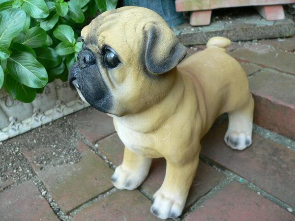 犬の置物 パグ おまけ付 いぬ イヌ 動物 2981H ガーデン ガーデニング オブジェ オーナメント マスコット置き物拍卖