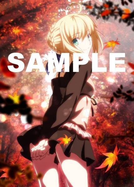 Fate/hollow ataraxia WonderGOO特典 B2タペストリー拍卖