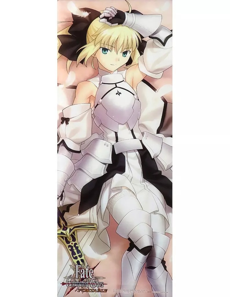 Fate/unlimited codes PORTABLE WonderGOO特典 セイバー・リリィ 特大タペストリー拍卖