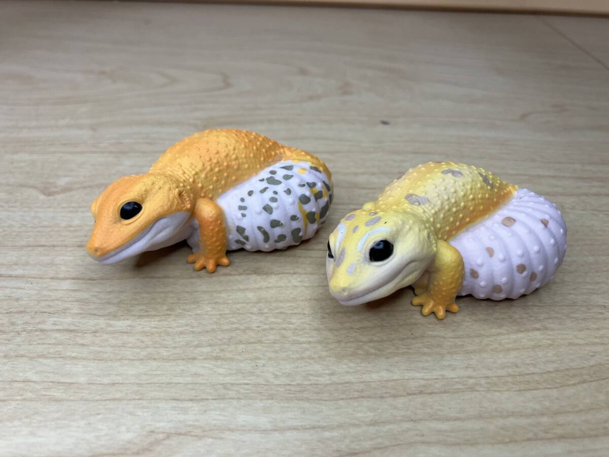 てのりフレンズ6 レオパードゲッコー 両生類 フィギュア トカゲ拍卖
