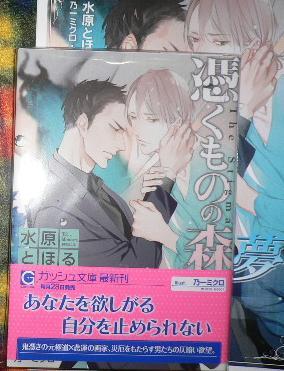 小冊子+帯付「憑くものの森」水原とほる/乃一ミクロ拍卖