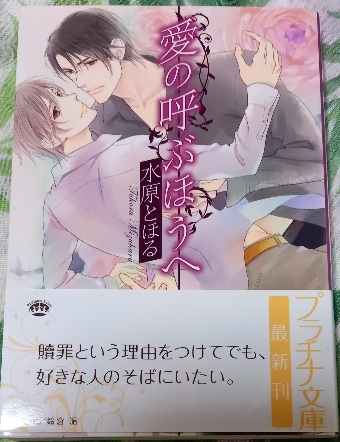 帯付「愛の呼ぶほうへ」水原とほる/鈴倉温拍卖