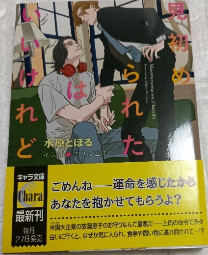 帯付「見初められたはいいけれど」水原とほる/ミドリノエバ拍卖