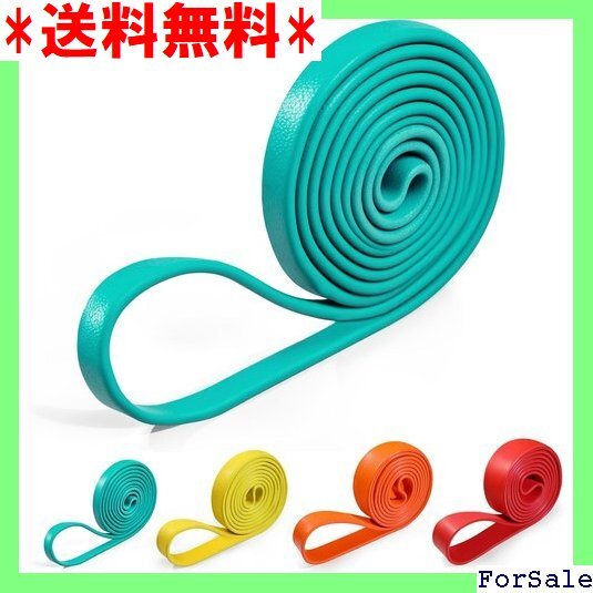 ☆人気商品 PROIRON トレーニングチューブ 懸垂 チューブ スバンド 高負荷 筋トレ 懸垂 補助バンド パワーバンド 99拍卖