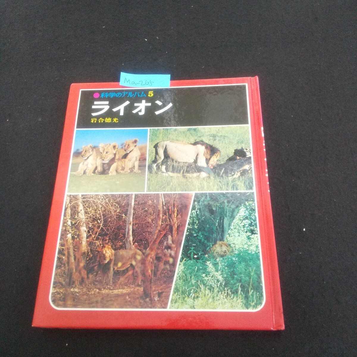 Ma-265/科学のアルバム5 ライオン 著者/岩合徳光 1978年7月5日発行 あかね書房 のんびりライオン/L4/70521拍卖