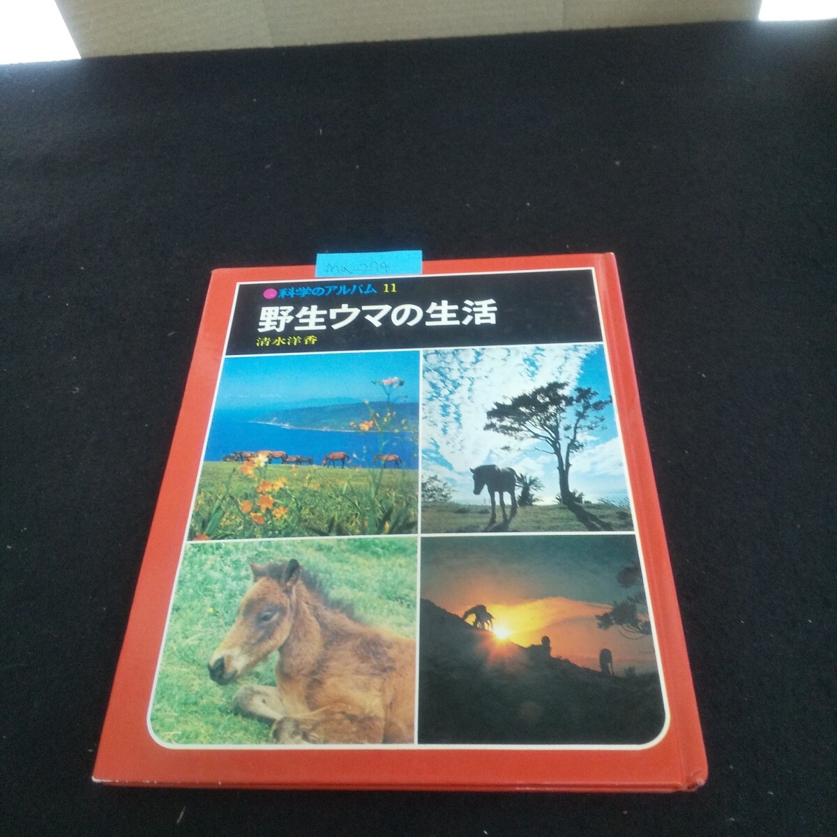 Ma-274/科学のアルバム11 野生のウマの生活 著者/清水洋香 1978年7月5日発行 あかね書房 日本のウマ/L4/70521拍卖