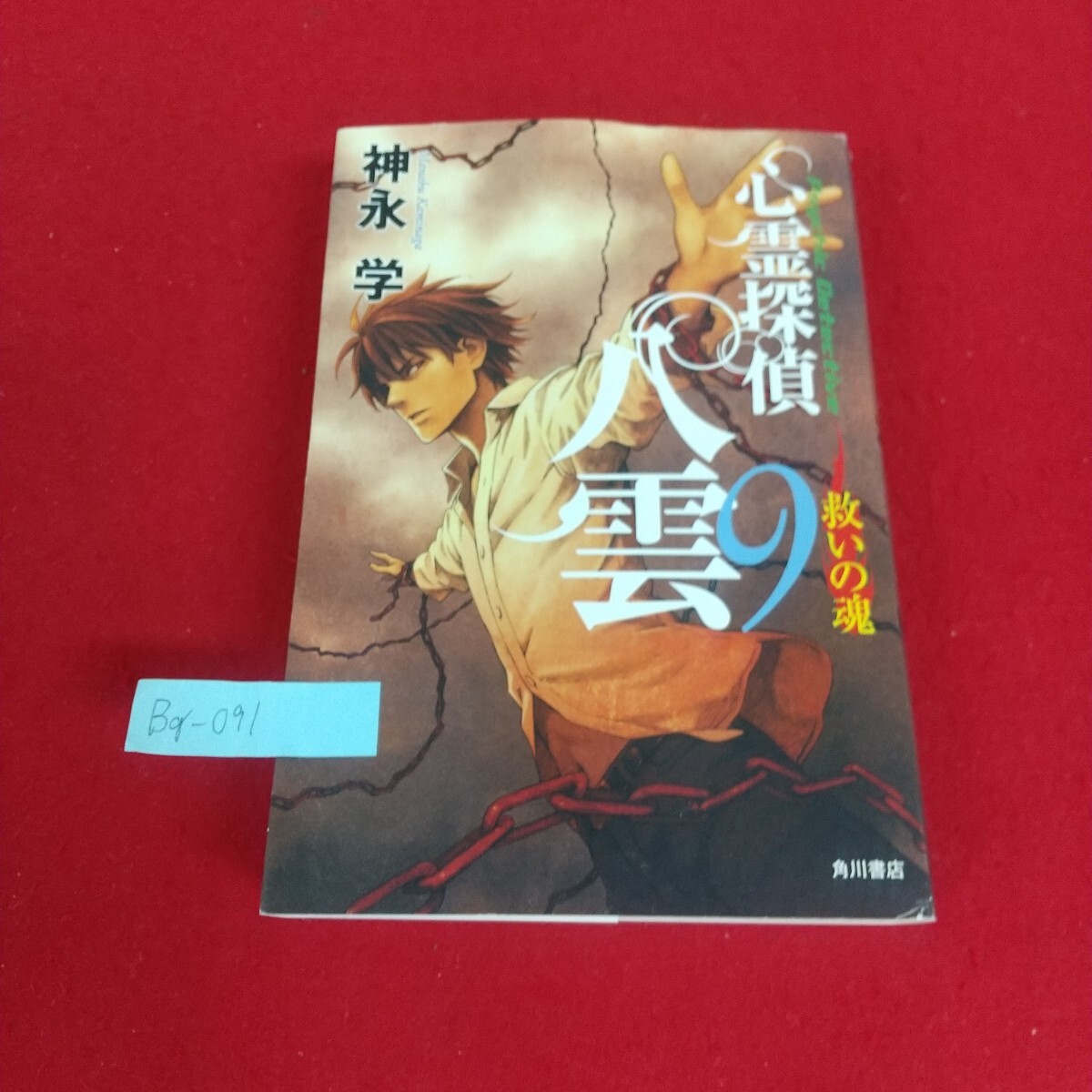 Bg-091/心霊探偵八雲 9救いの魂 神永学 角川書店 平成24年3月初版 傷あり。水寄れあり。/L4/70530拍卖