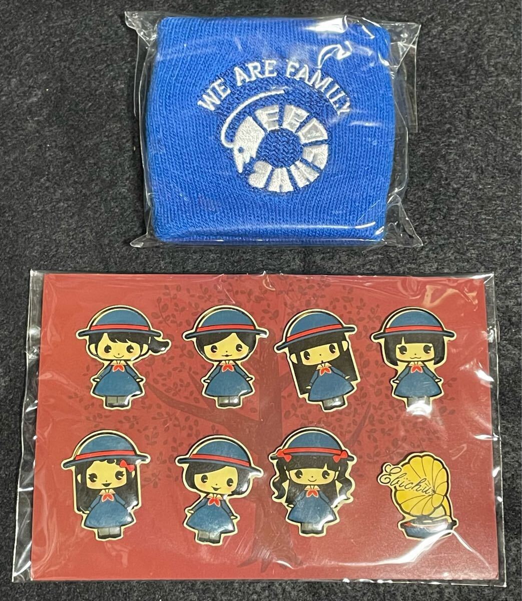 【新品】私立恵比寿中学 2017 春ツアー ピンバッジ リストバンド拍卖