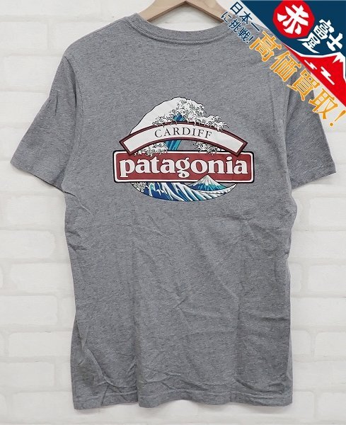 9T2493【クリックポスト対応】未使用品 Patagonia CARDIFF オーガニックコットンTシャツ パタゴニア拍卖