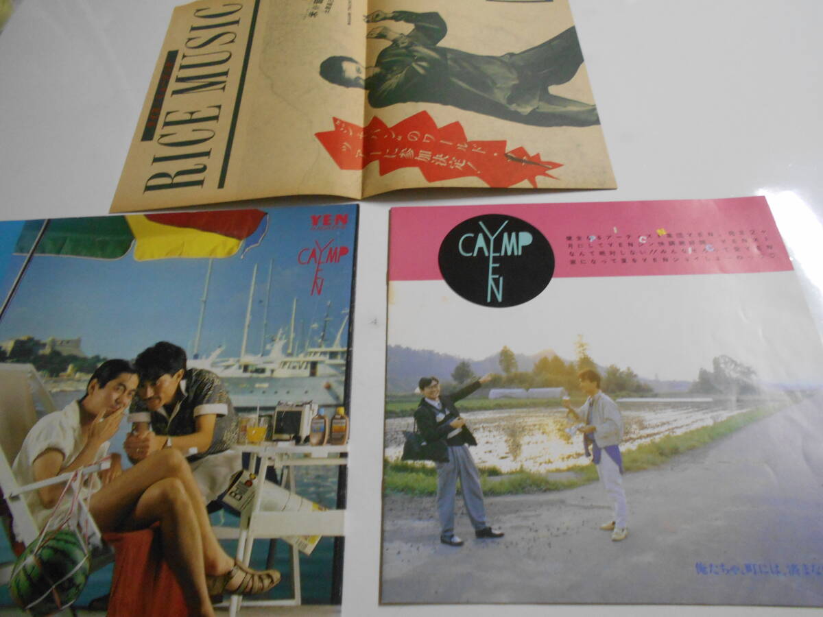 パンフレット 高橋幸宏 1982年ツアー WHAT,ME WORRY 夏は、YEN天下 YMO 細野晴臣 土屋昌巳 立花ハジメ 坂本龍一 ファンクラブ会報 b拍卖