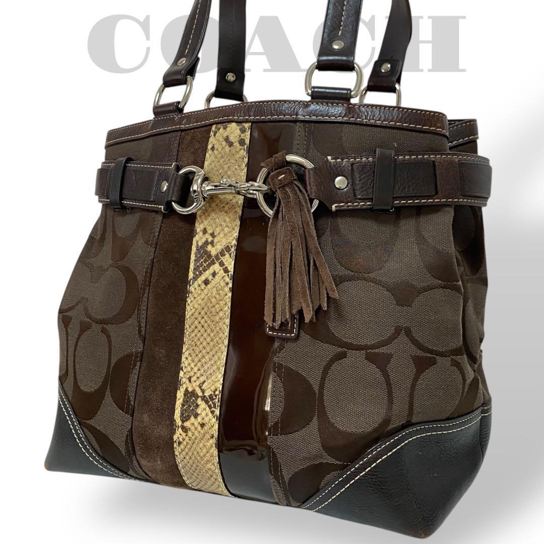 coach signature handbag leather Y2K トートバッグ パイソン スエード エナメル キャンバス レザー 肩掛け タッセル拍卖