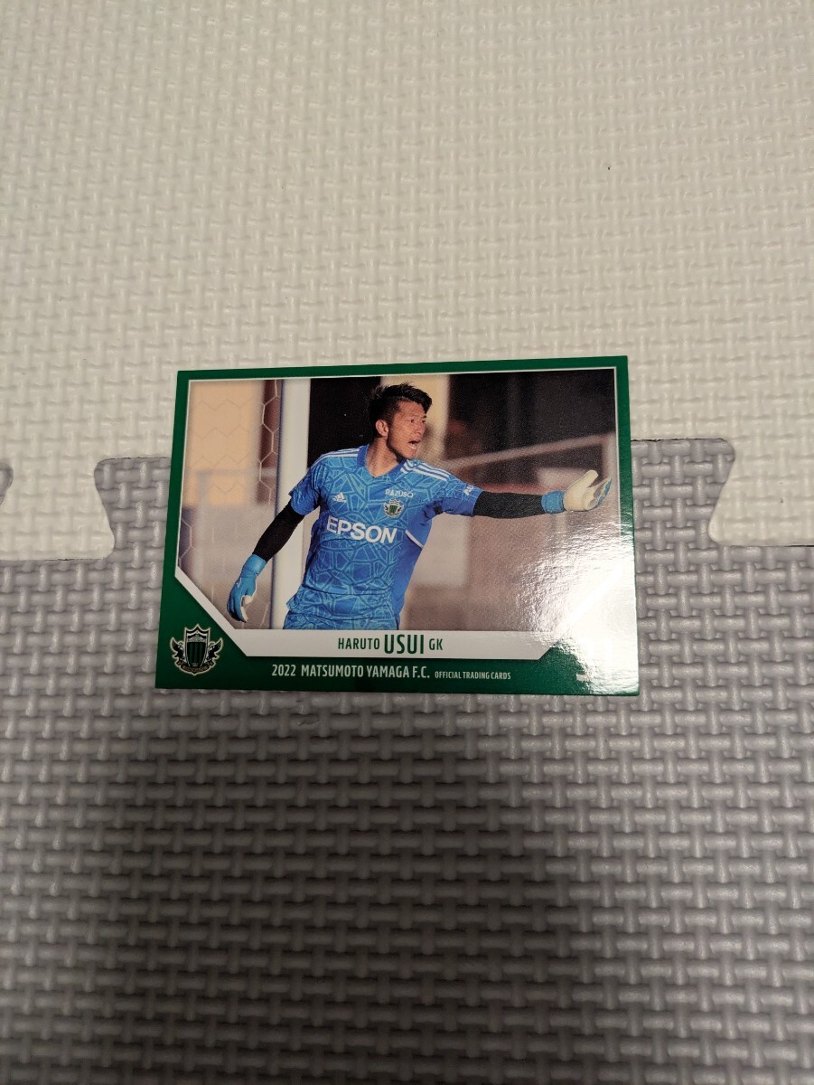 2022 松本山雅FC オフィシャルトレーディングカード 薄井覇斗 YG27 Jリーグ拍卖