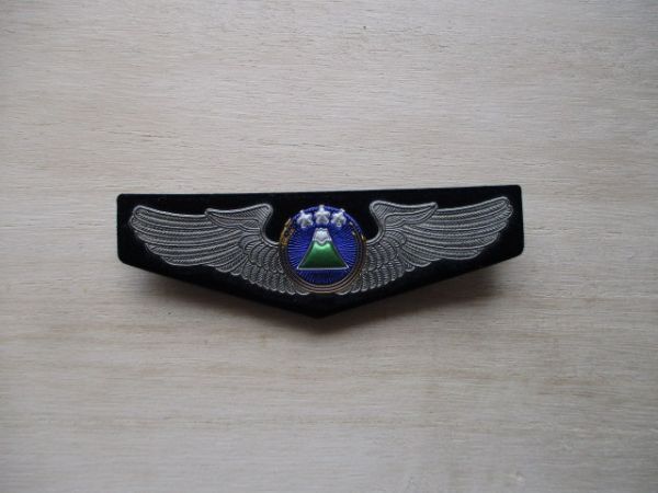 【送料無料】航空自衛隊 航空支援集団パッチ常装部隊章シャツ用ベルクロ刺繍ワッペン/徽章patchき章AIR FORCE空自JASDF日本空軍JAPAN M19拍卖