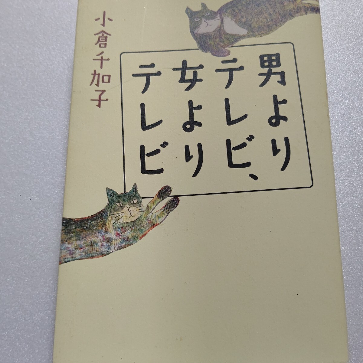 男よりテレビ、女よりテレビ 小倉千加子 紳助 たかじん 松田聖子 ジャニーズ 竹内結子 中村獅童 松任谷由実 ビートルズ カーペンターズ他拍卖