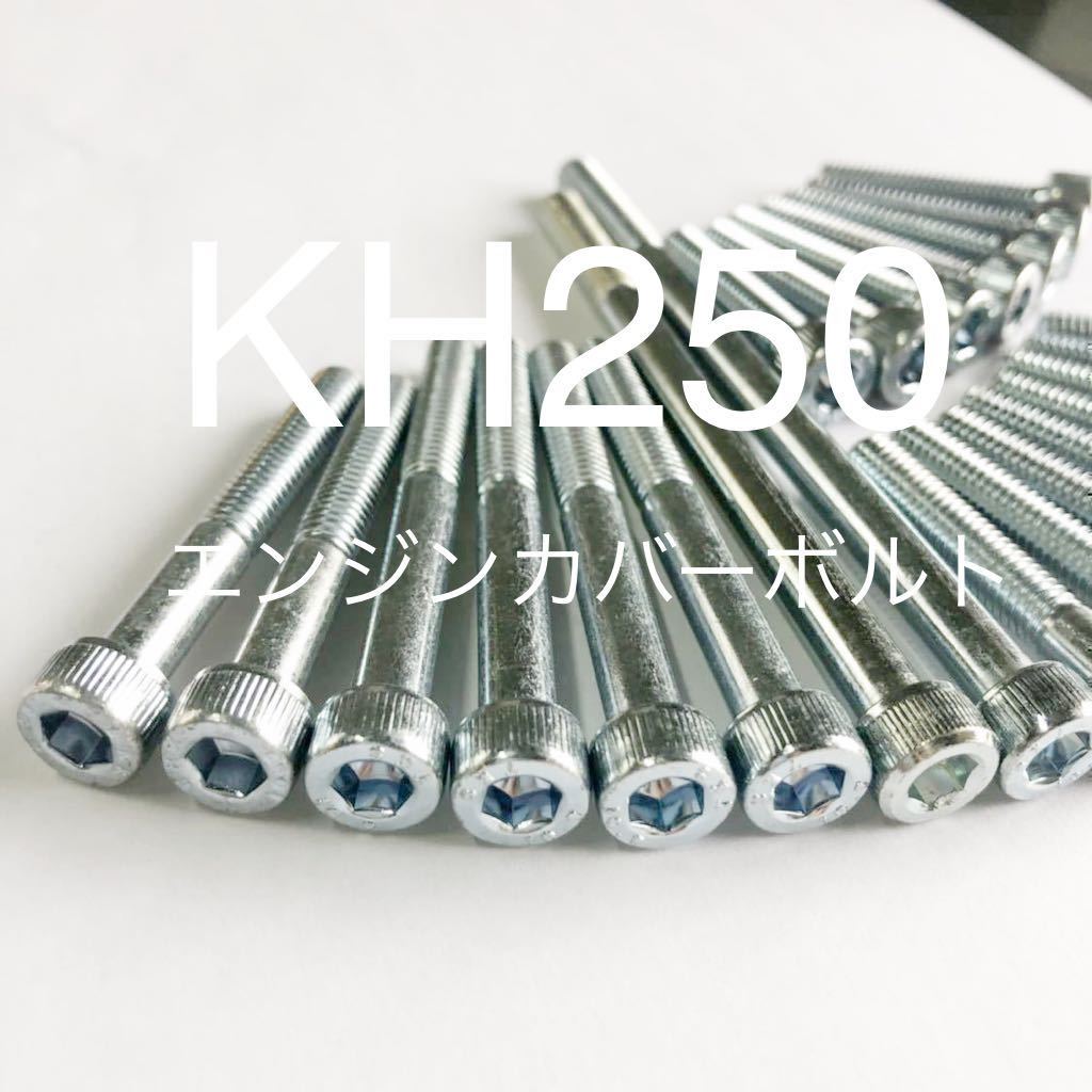 kh250 kh400 エンジンカバーボルト ユニクロメッキ キャップボルト 1台分セット 格安国産 高品質日本製拍卖