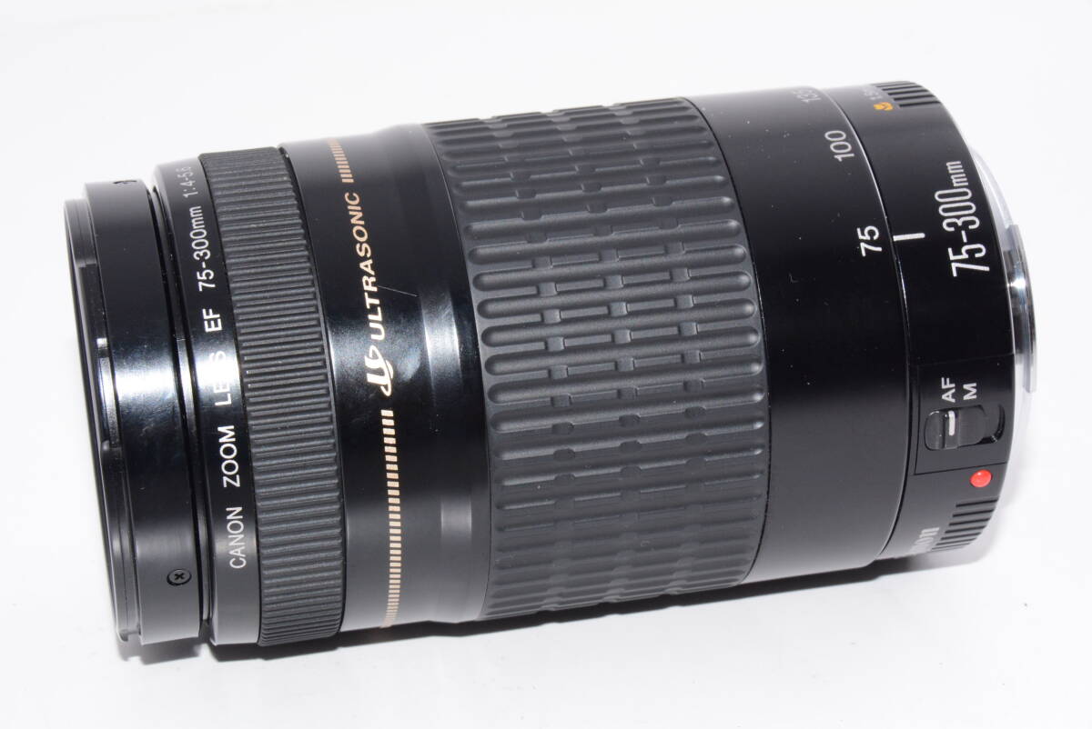 【外観特上級】CANON キャノン EF 75-300mm F4-5.6 #m10273拍卖