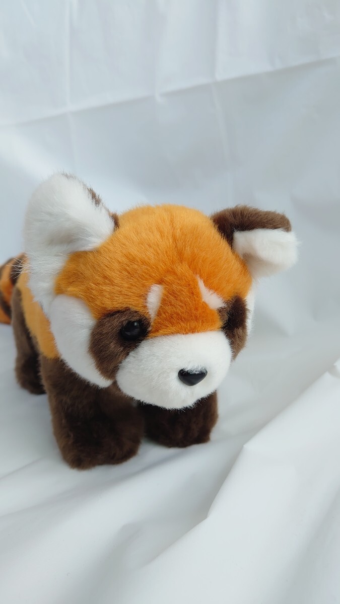 アライグマ ぬいぐるみ 約50cm 送料無料 動物ぬいぐるみ拍卖