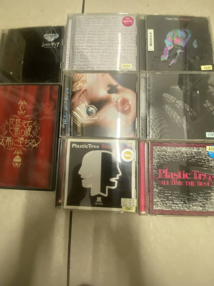 plastic tree DVD+ベストアルバム 2CD ALL TIME THE BEST+ベストアルバム CD+アルバム CD DVD+アルバム CD 計8枚セット拍卖