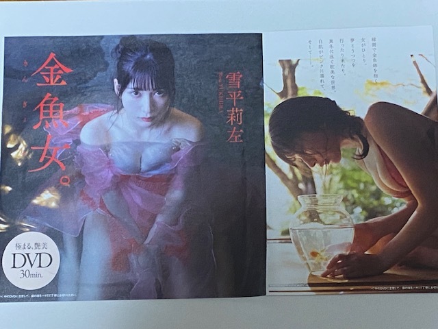 ◆即決◆ 雪平莉左 『 金魚女。』 ★未開封新品★ 同梱可拍卖