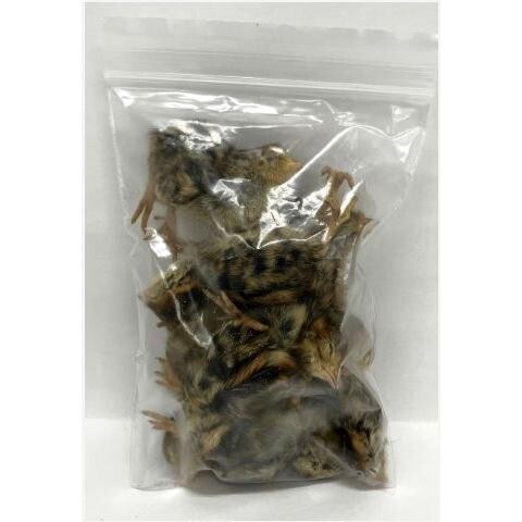 【送料無料】【邑楽ファーム・クール便発送】冷凍ヒナウズラ 10羽×10個セット拍卖