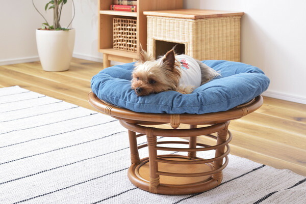 【ペットスツール】 スツール 椅子 チェア ペット イヌ ネコ 犬 猫 クッション ラタン 収納 ゆったり おしゃれ リビング アニマル拍卖