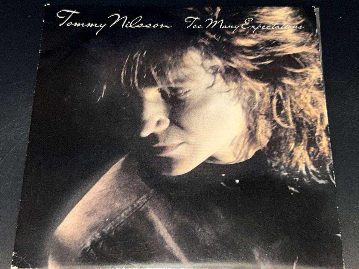 Tommy Nilsson / Too Many Expectations '90年北欧メロディアス・ハード 7インチ拍卖