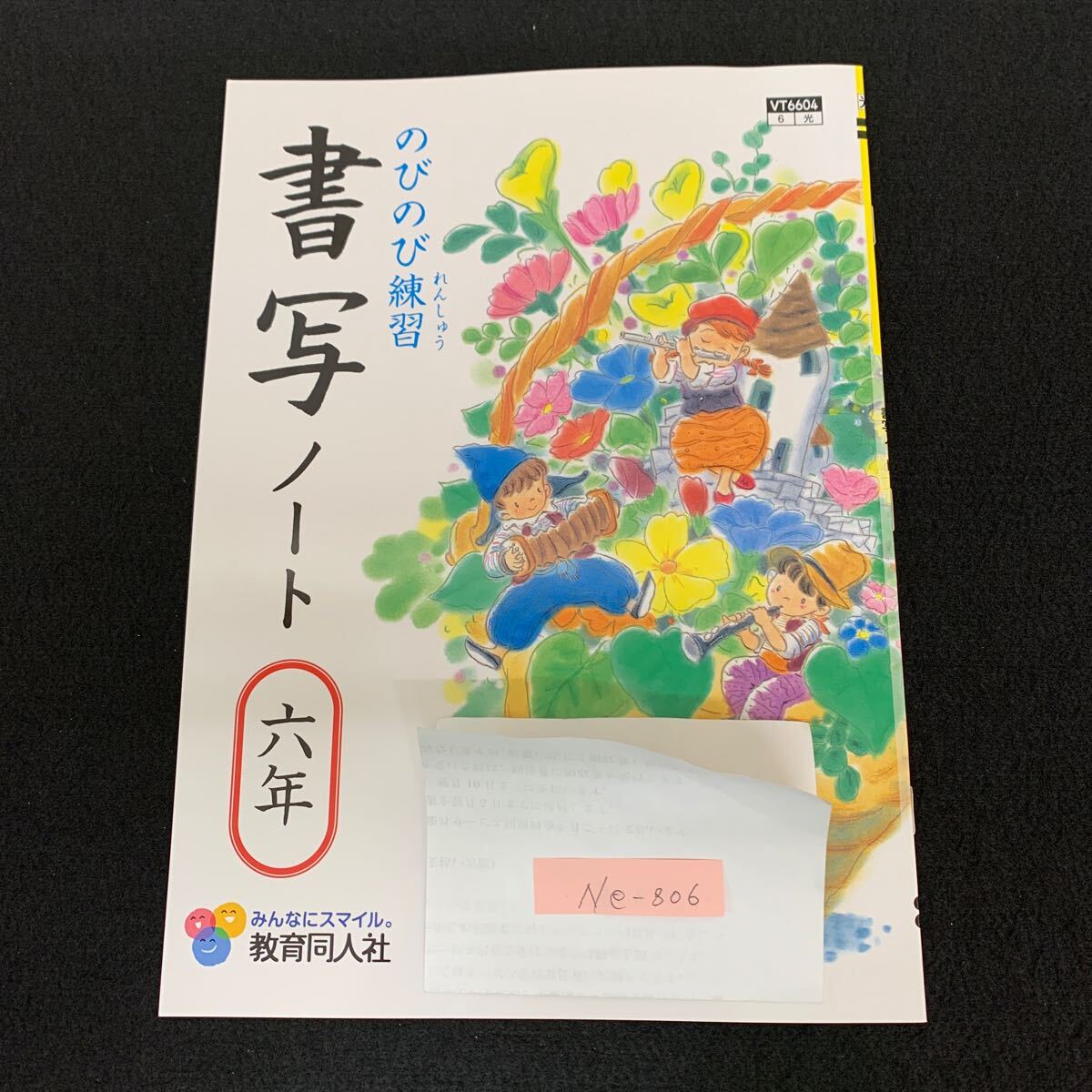 Ne-806/6年生/教育同人社/小学生 国語 算数 英語 社会 理科 漢字 家庭科 書写 テキスト テスト用紙 教材 文章問題 計算/L7/70507拍卖